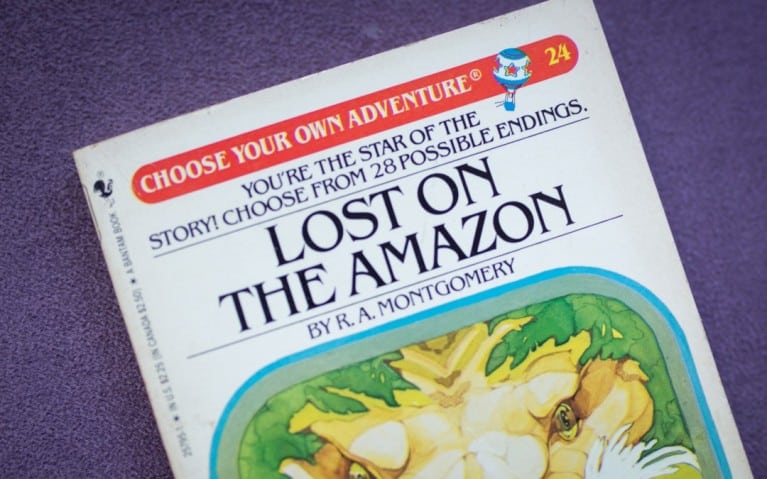 choose your own adventure book