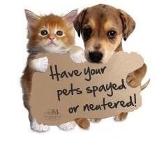 pets spayed or neutered